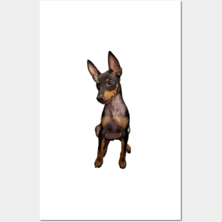 Manchester Terrier Puppy Dog Posters and Art